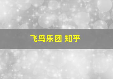 飞鸟乐团 知乎